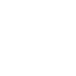 Ботола Про logo