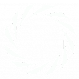 Примера Дивизион logo