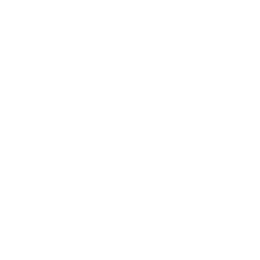 Кубок Африканских наций logo