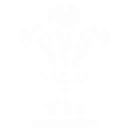Премьер-дивизион logo