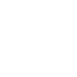 Campeonato Amapaense logo