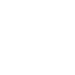 Премьер-лига logo