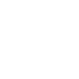 Copa logo