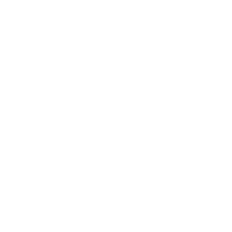 V.League 1 logo