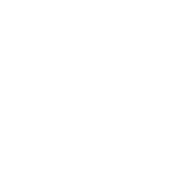 Regionalliga. Batı logo