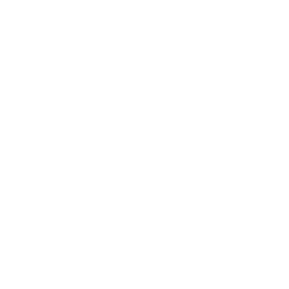 Регионаллига. Северо-Восток logo