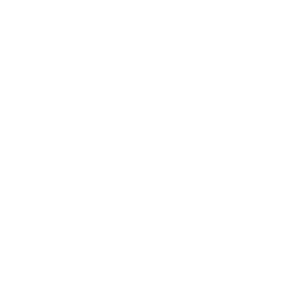 Лига 1 logo
