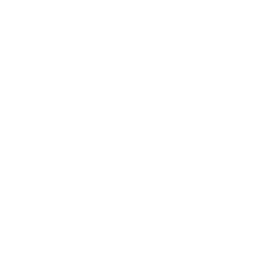 ОПЛ logo
