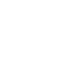 Ligat Ha'Al logo