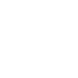Primera División logo