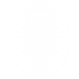 Avrupa Şampiyonası logo