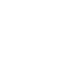 Кубок Африканских наций logo