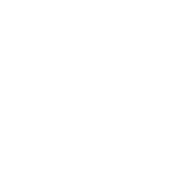 Чемпионат АСЕАН logo