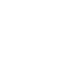 Copa America logo