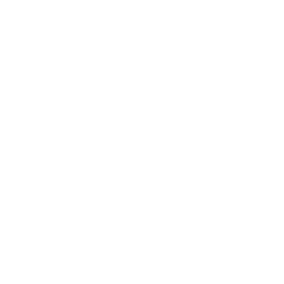 Copa America logo