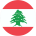 flag-player