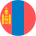 flag-player