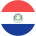 flag-player