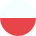 flag-player