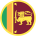 flag-player