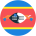 flag-player
