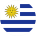 flag-player
