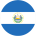 flag-player