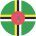 flag-player