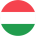 flag-player