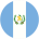 flag-player