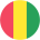 flag-player