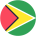 flag-player